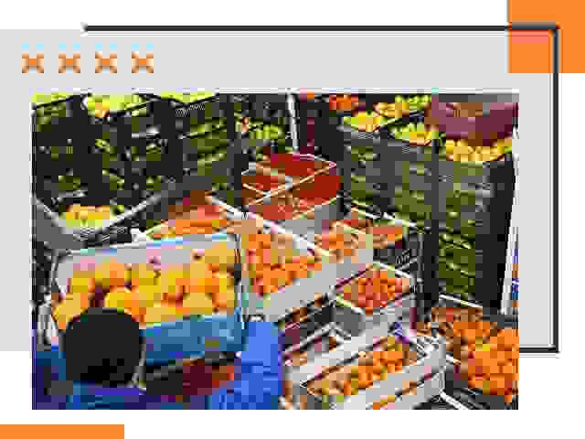 Перевозка скоропортящихся продуктов в Крымске